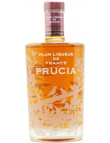 SUNTORY PRUCIA Plum Liqueur de France 700ml