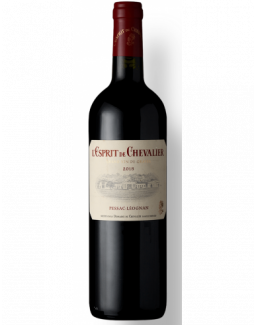 L'ESPRIT DE CHEVALIER