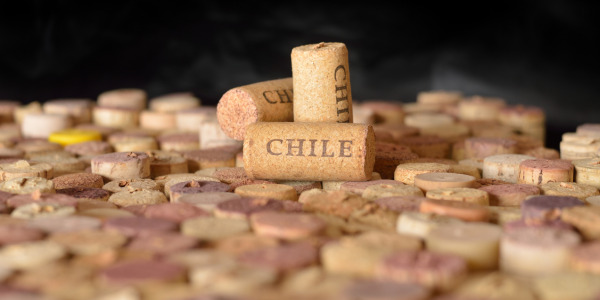 ไวน์ ชิลี Chile 101  “คุณภาพที่เกินราคา”