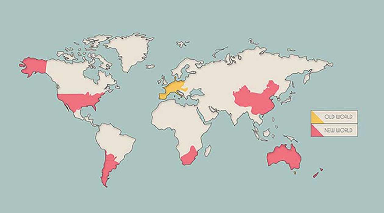 Old World VS New World Wine THE WINE LIST